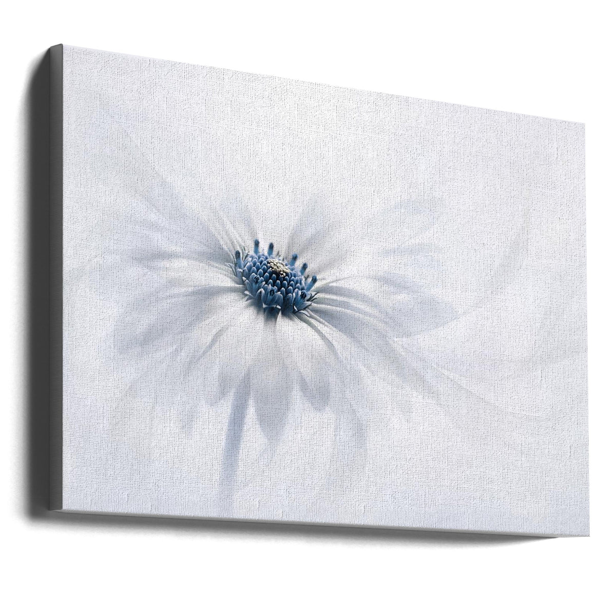Wall art Serenity. Floral