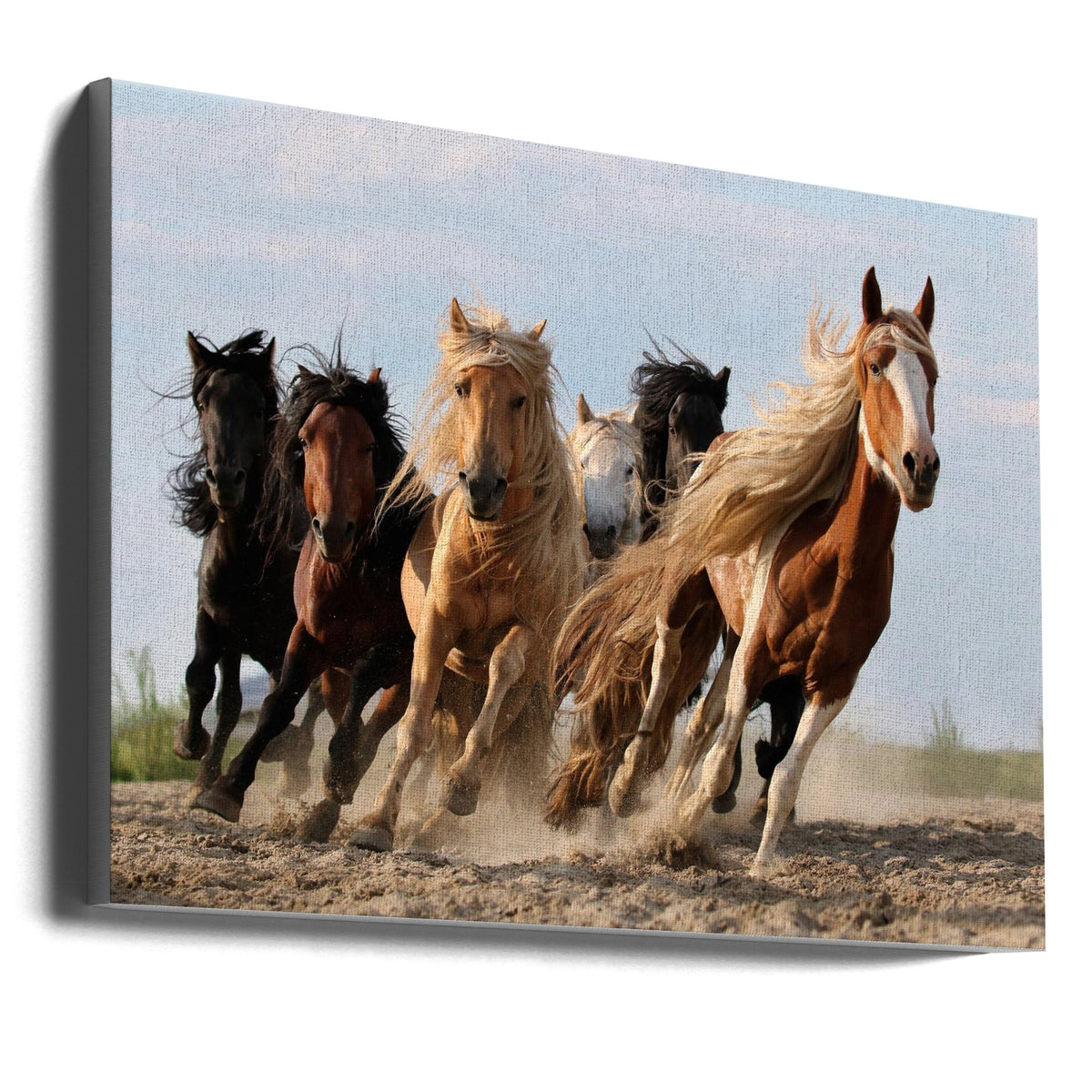 Art mural Six chevaux porte-bonheur
