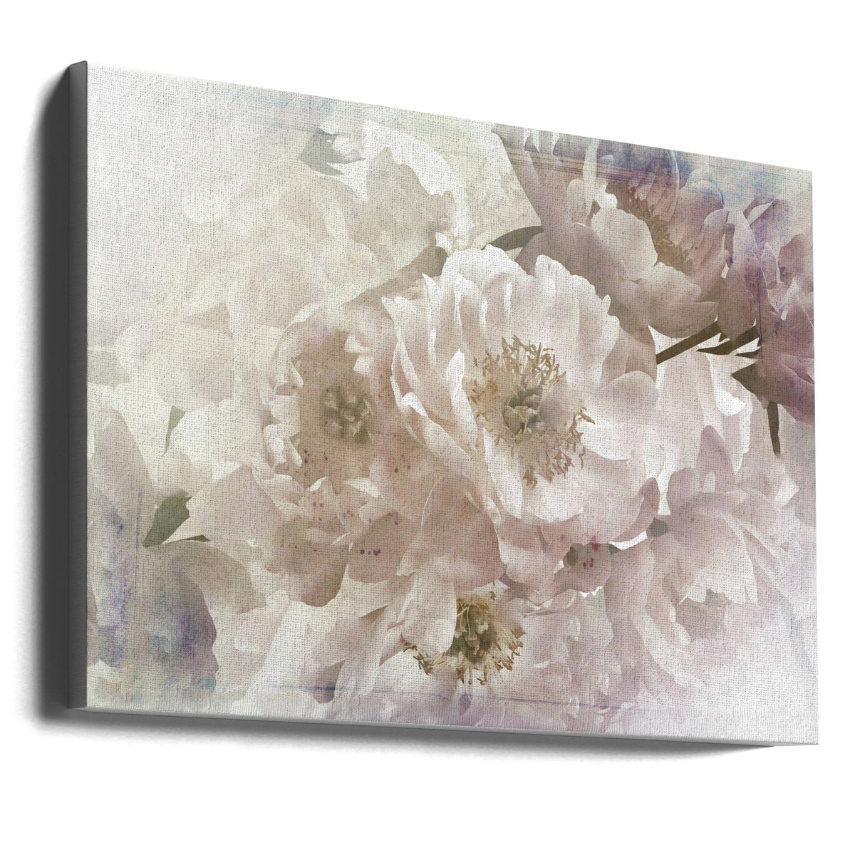 Wall Art Ombre033flower