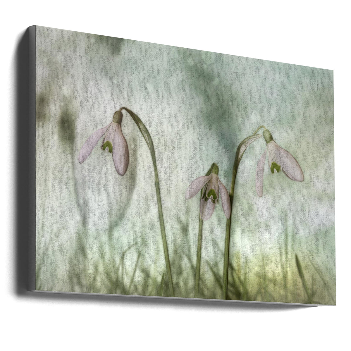 Wall Art Trio 2