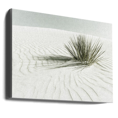 Wall art WHITE SANDS Vintage Dune