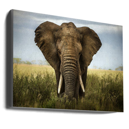 Wall art Encounters in Serengeti. Elephant