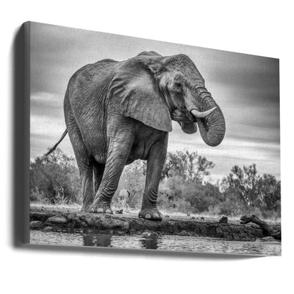 Wall art Standing Proud. Elephant