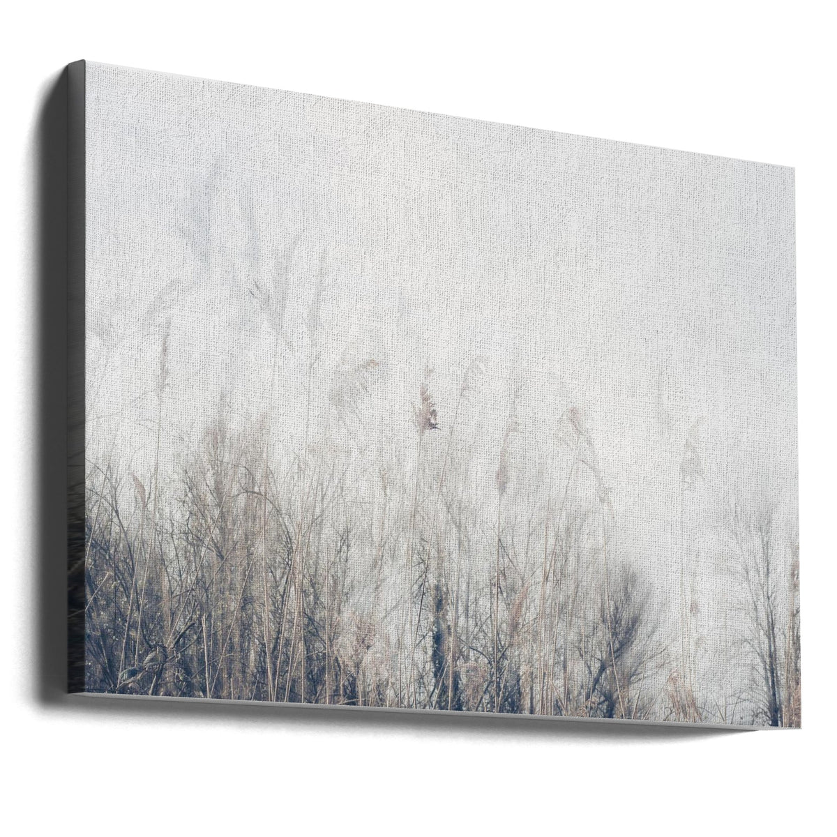 Wall art Landscape of reeds and grass