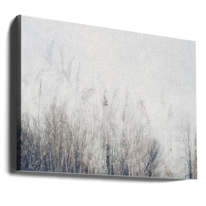 Wall art Landscape of reeds and grass