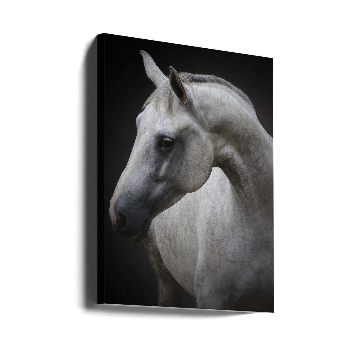 Wall art Maggie. Horse