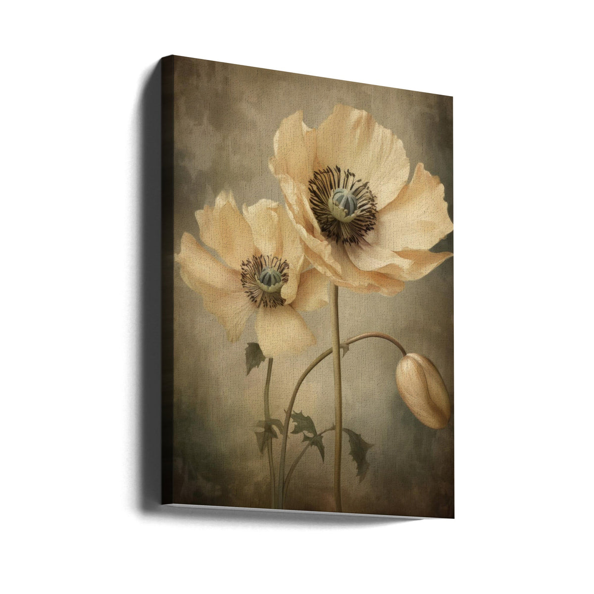 Wall Art Poppies 20