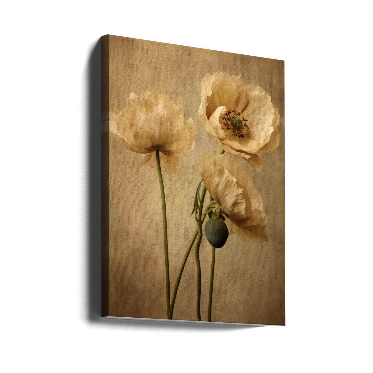 Wall Art Poppies 24