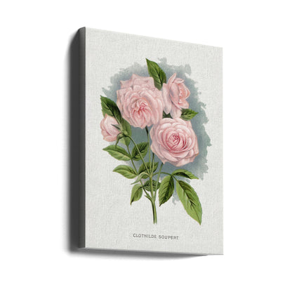Wall Art Pink Rose, Clothilde Soupert Lithograph