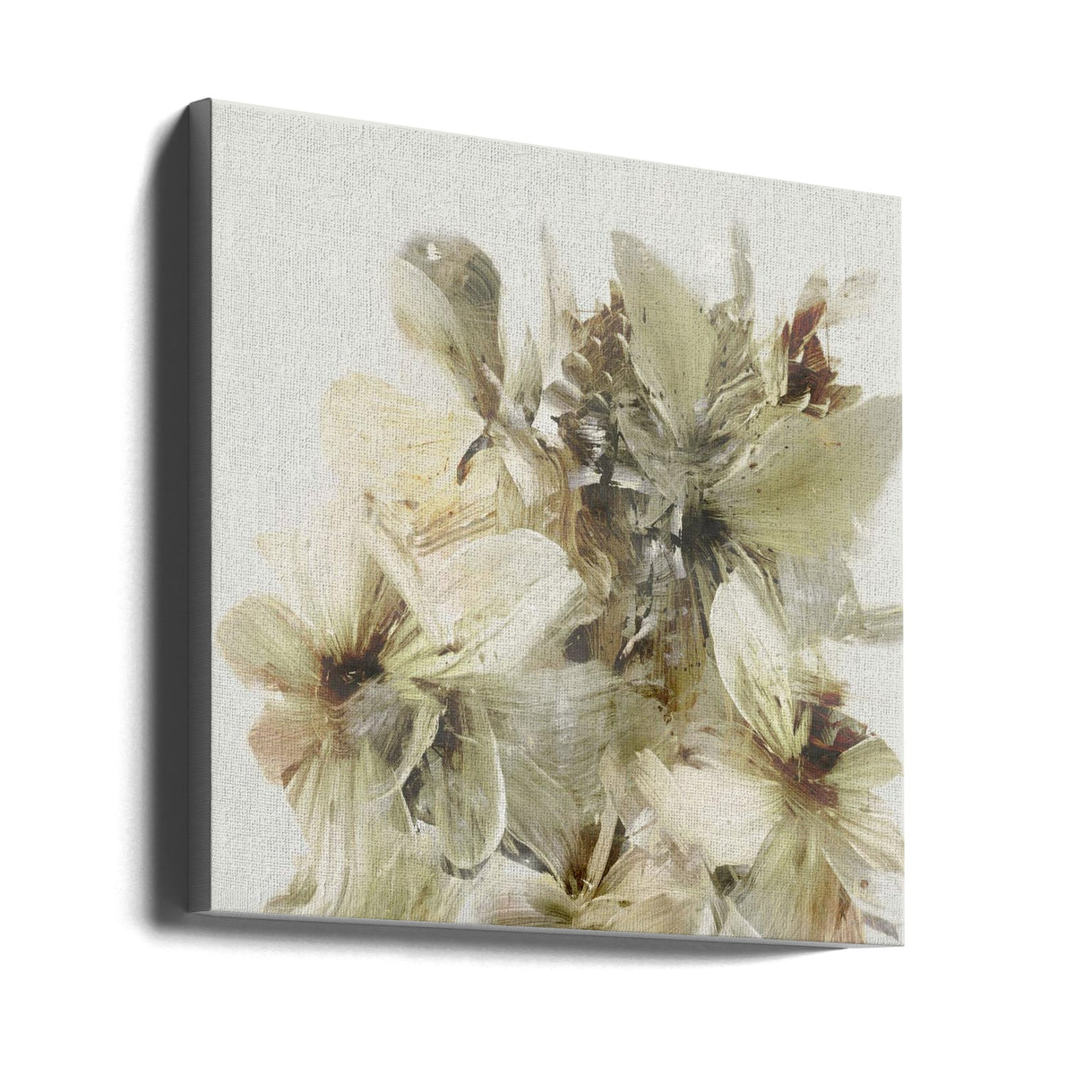 Fleurs des collines