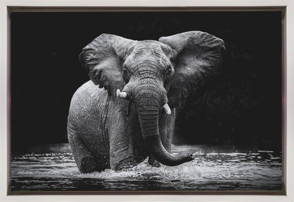 Wall art Power 1. Elephant