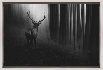 Wall art Stag. Deer