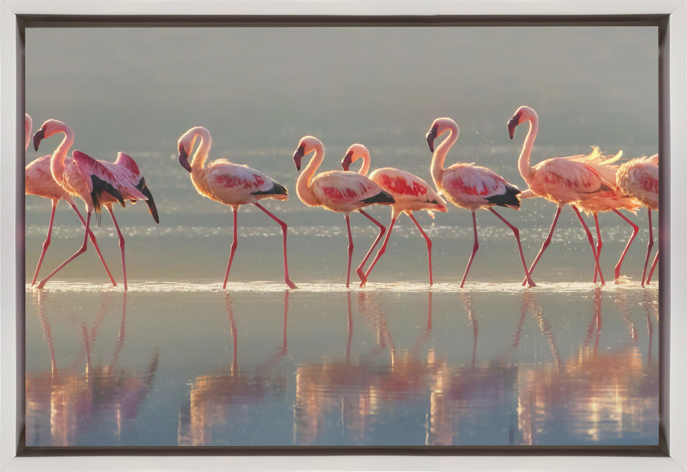 Art mural Paysage flamant rose