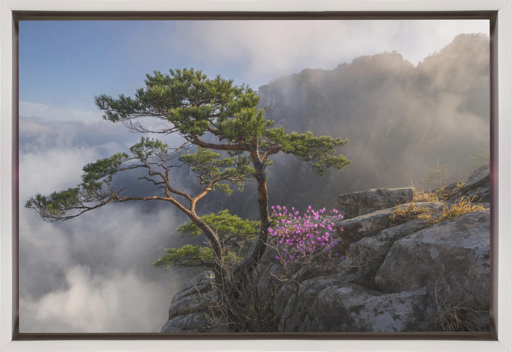 Wall art Dream dancer Canvas Print
