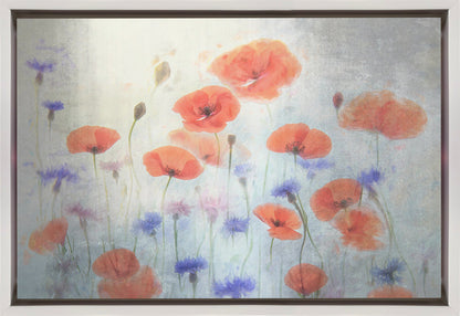Wall Art Poppy