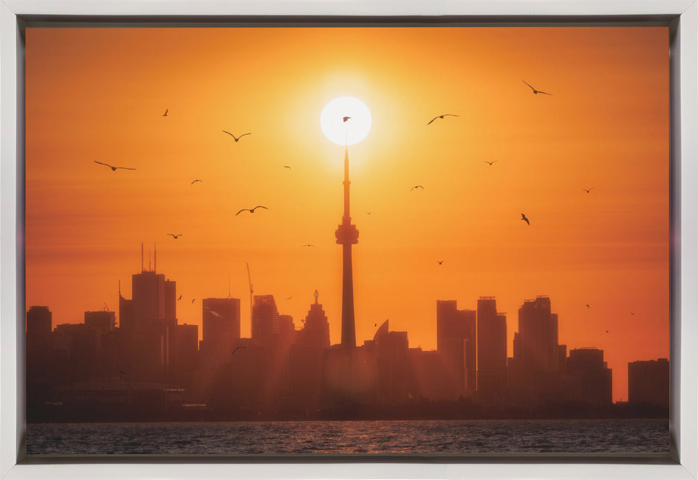 Wall art Sun Rising Behind Toronto Canvas Print