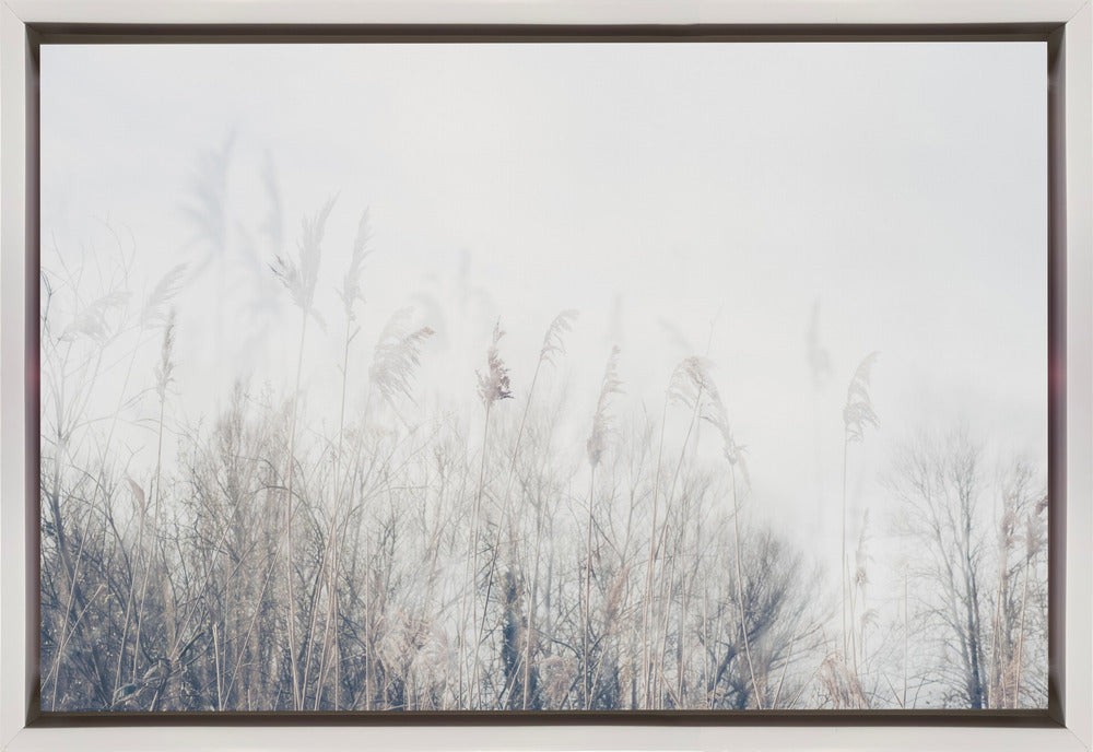 Wall art Landscape of reeds and grass