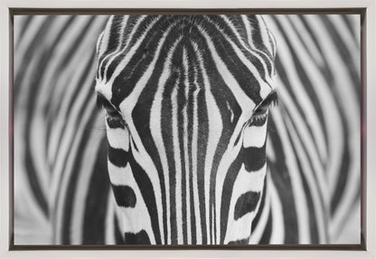 Wall art Zepra