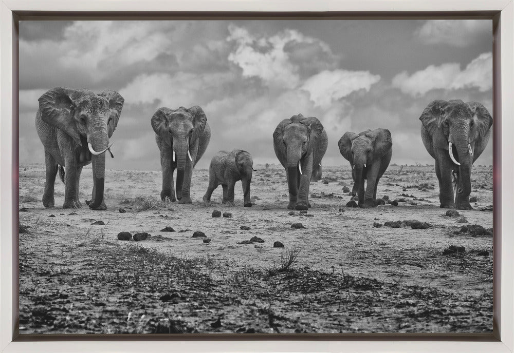 Wall art Big Family. Elephants