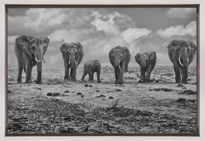 Wall art Big Family. Elephants