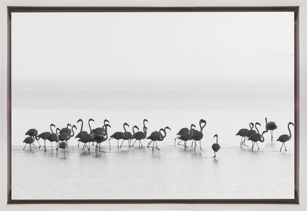 Wall art Flamingos