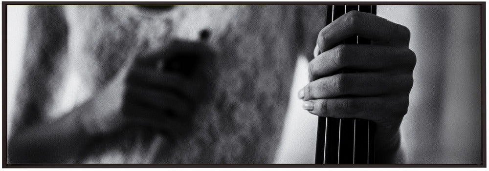 Wall art break for the cello