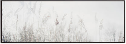 Wall art Landscape of reeds and grass