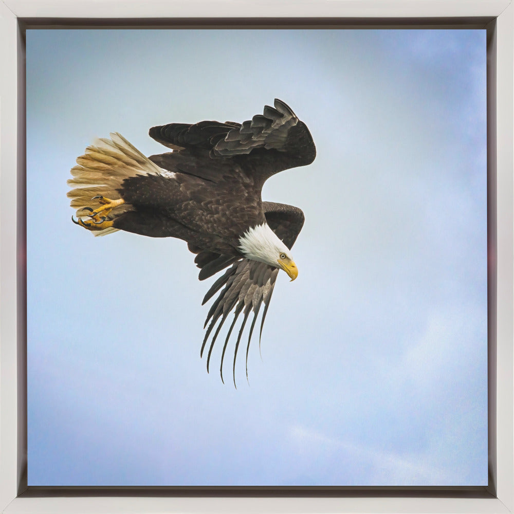 Wall art Taking Flight