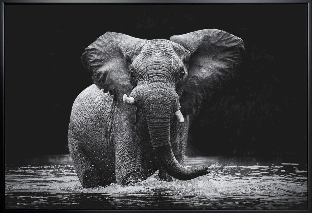 Wall art Power 1. Elephant