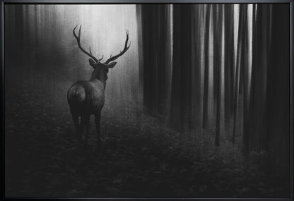 Wall art Stag. Deer