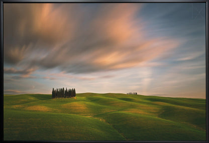 Wall art Fields...
