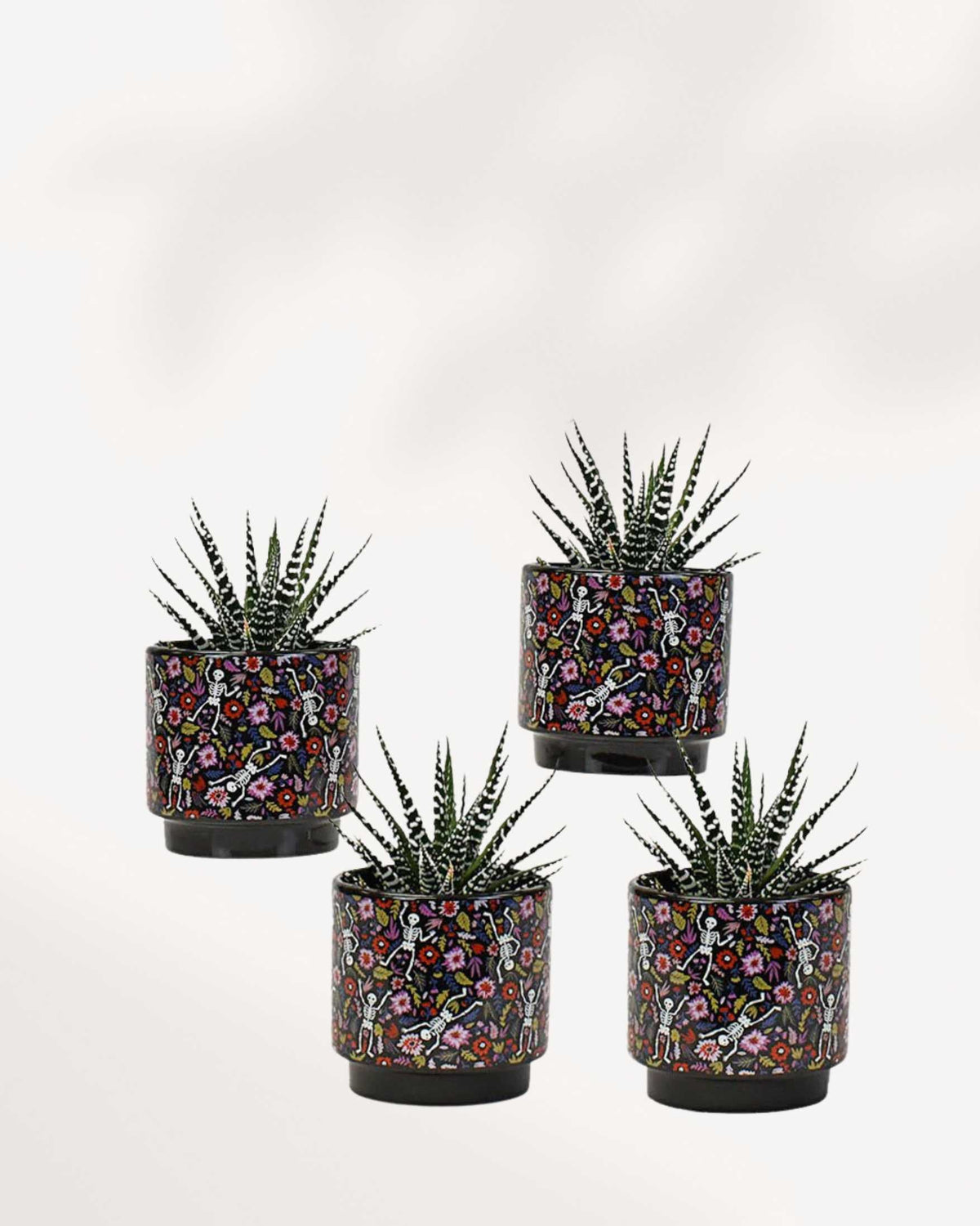 Pot du Jour des Morts
