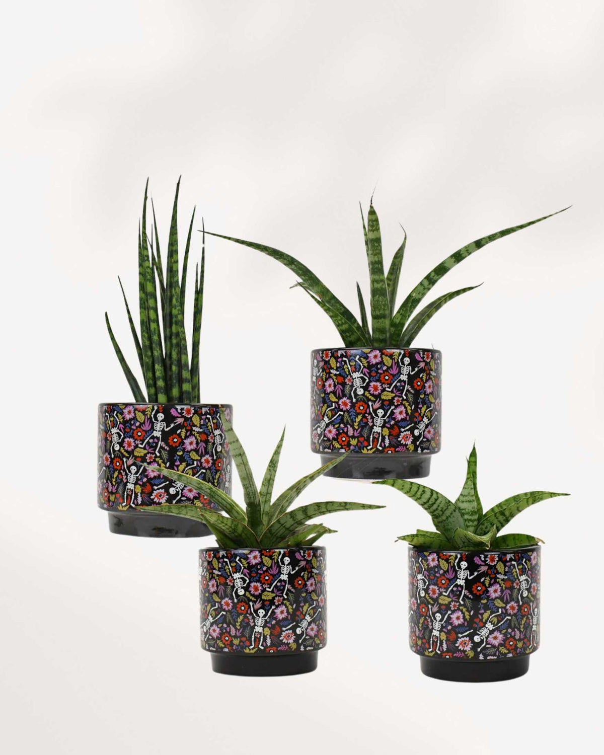 Pot du Jour des Morts