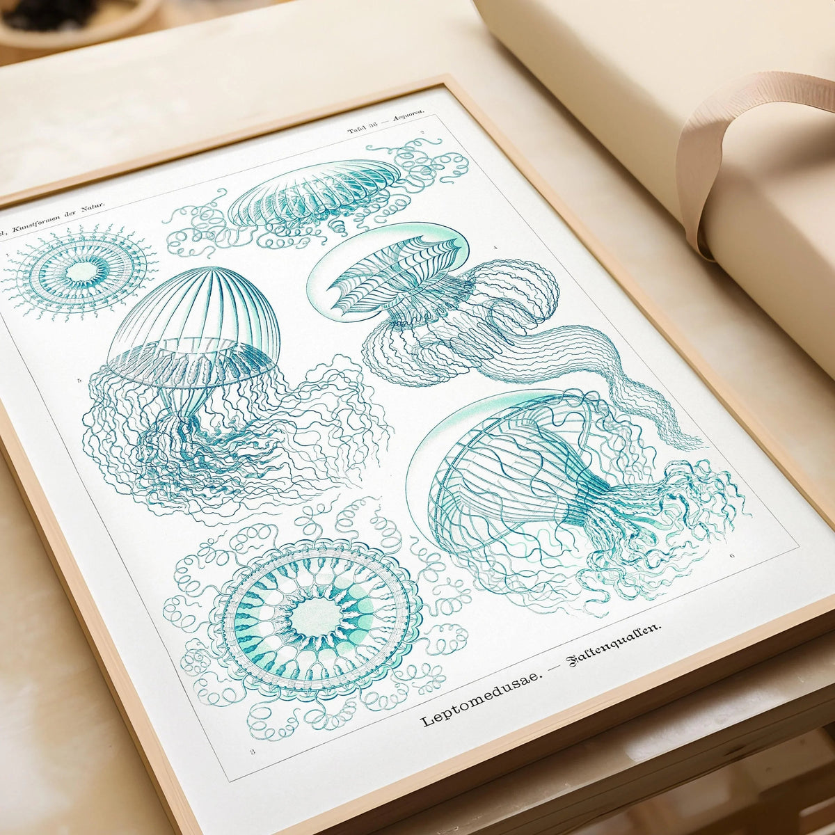 Gravure de méduse d'Ernst Haeckel : Art marin vintage