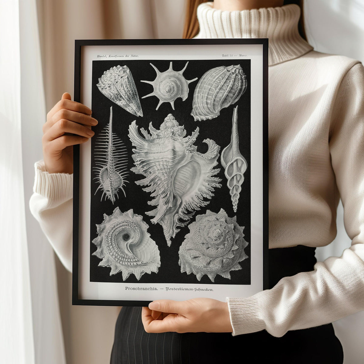 Ernst Haeckel Shells Art Print: Black and White Marine Life