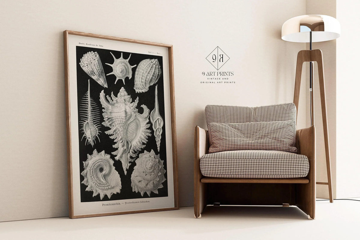Ernst Haeckel Shells Art Print: Black and White Marine Life