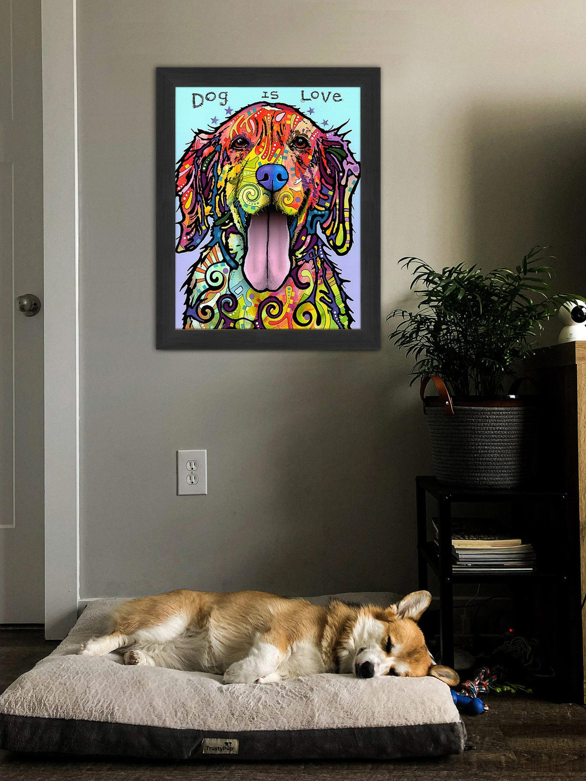 Dog Is Love Colorful Framed Canvas Wall Art (33.5x23.5)