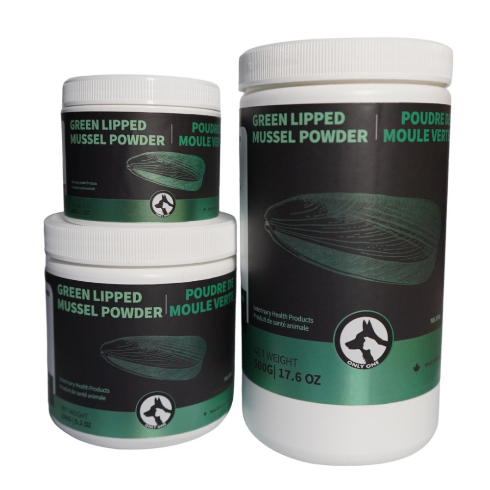 Poudre de Moule Verte 60g
