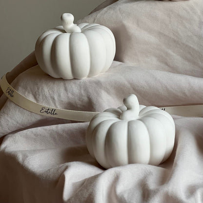 Décoration citrouille faite main en Jesmonite | Décoration d'automne