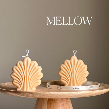 Bougie coquillage