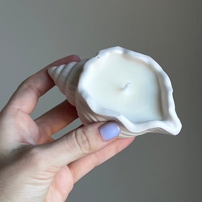 Shell Jar Soy Wax Candle | Handmade Jesmonite Vessel