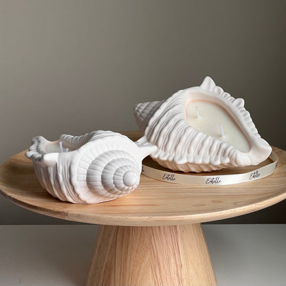 Bougie en cire de soja Coquillage | Récipient en Jesmonite, Faite à la main
