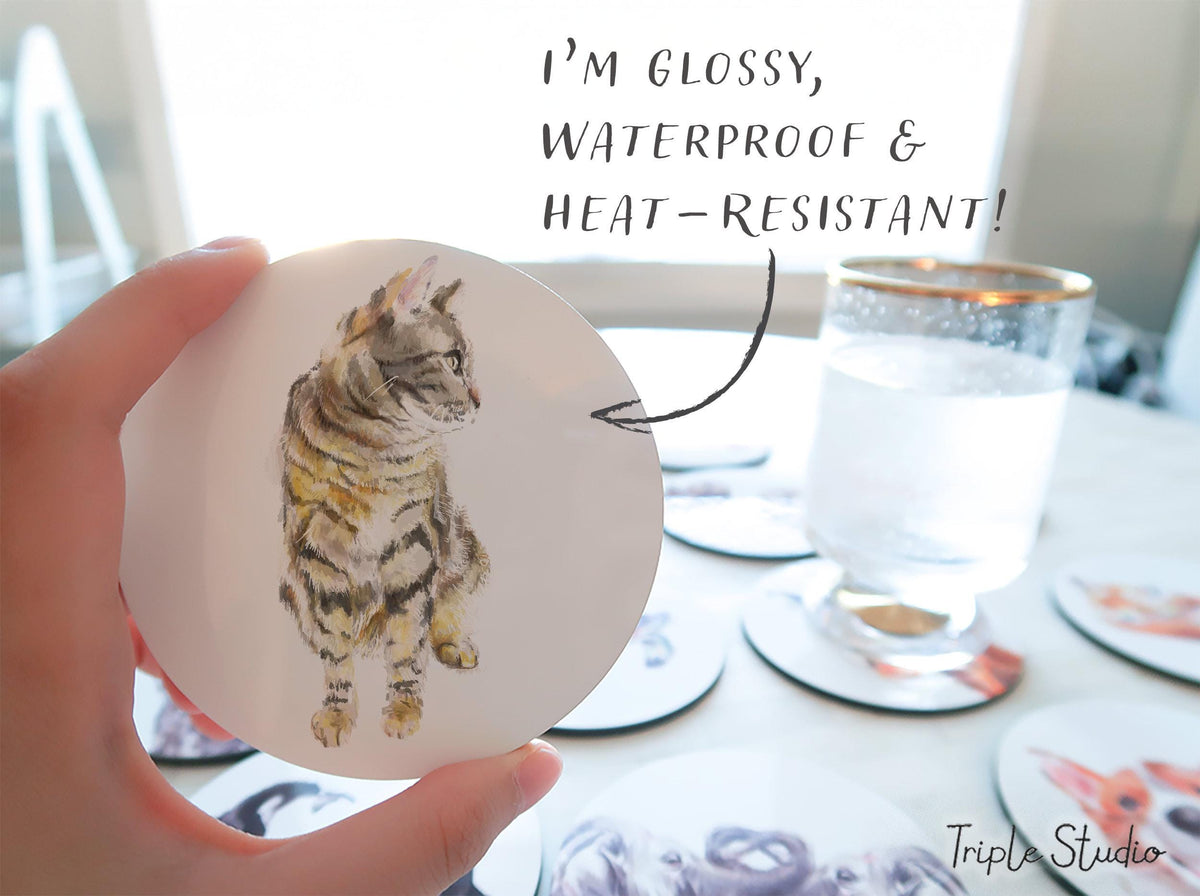 Gray Tabby Cat Coaster