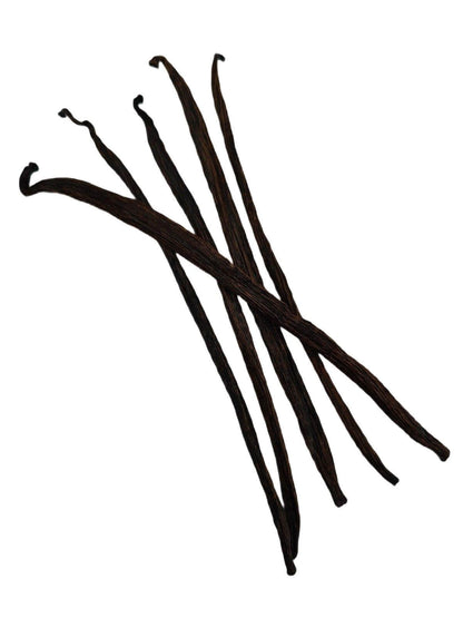 Indonesian Vanilla Beans (Sumatra) Planifolia Extract Grade-B <br>For Extract Making<BR>By Count
