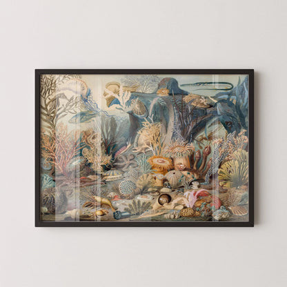 James M. Somerville - Ocean Life | Famous Art (available handframed or unframed)