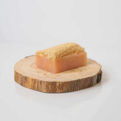 Savon Luffa : Cannelle
