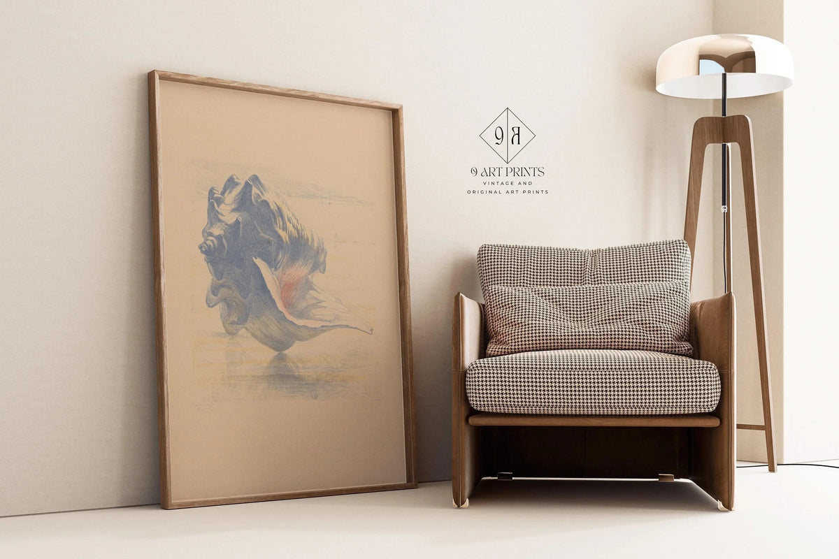 Seashell Art Print: Maurits van der Valk, Beige and Blue