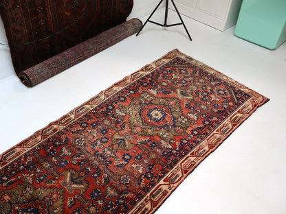 Persian Hosseinabad Runner Rug | 3' 2” x 12' 6"