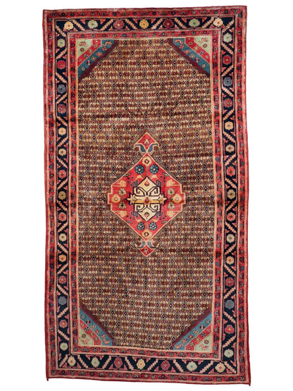 Persian Koliai Rug | 5’ 1" x 9’ 5"