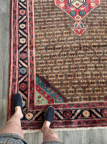 Persian Koliai Rug | 5’ 1" x 9’ 5"